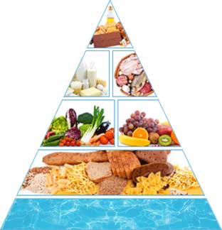 Food pyramid